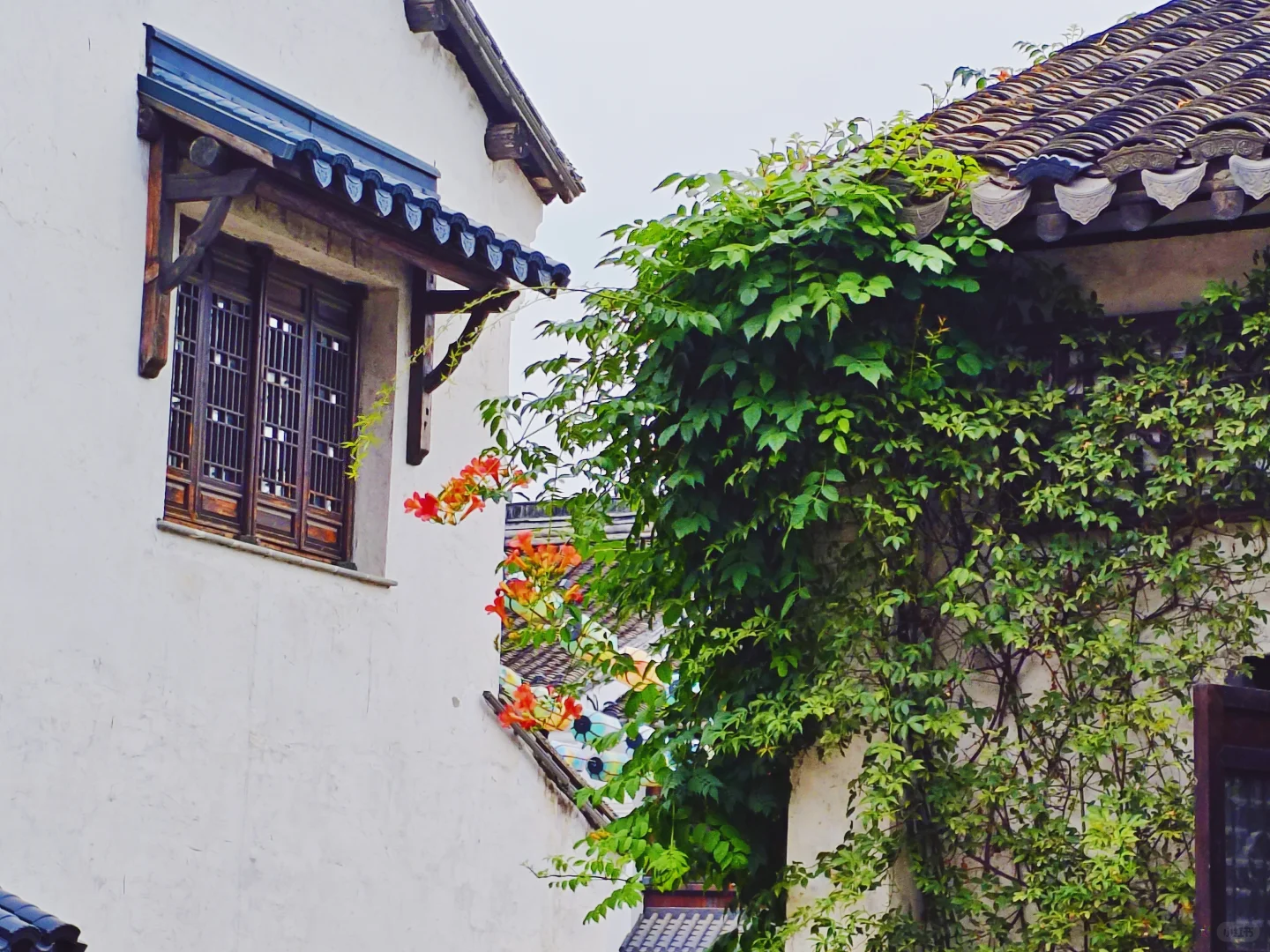 惠山古镇｜0门票游玩