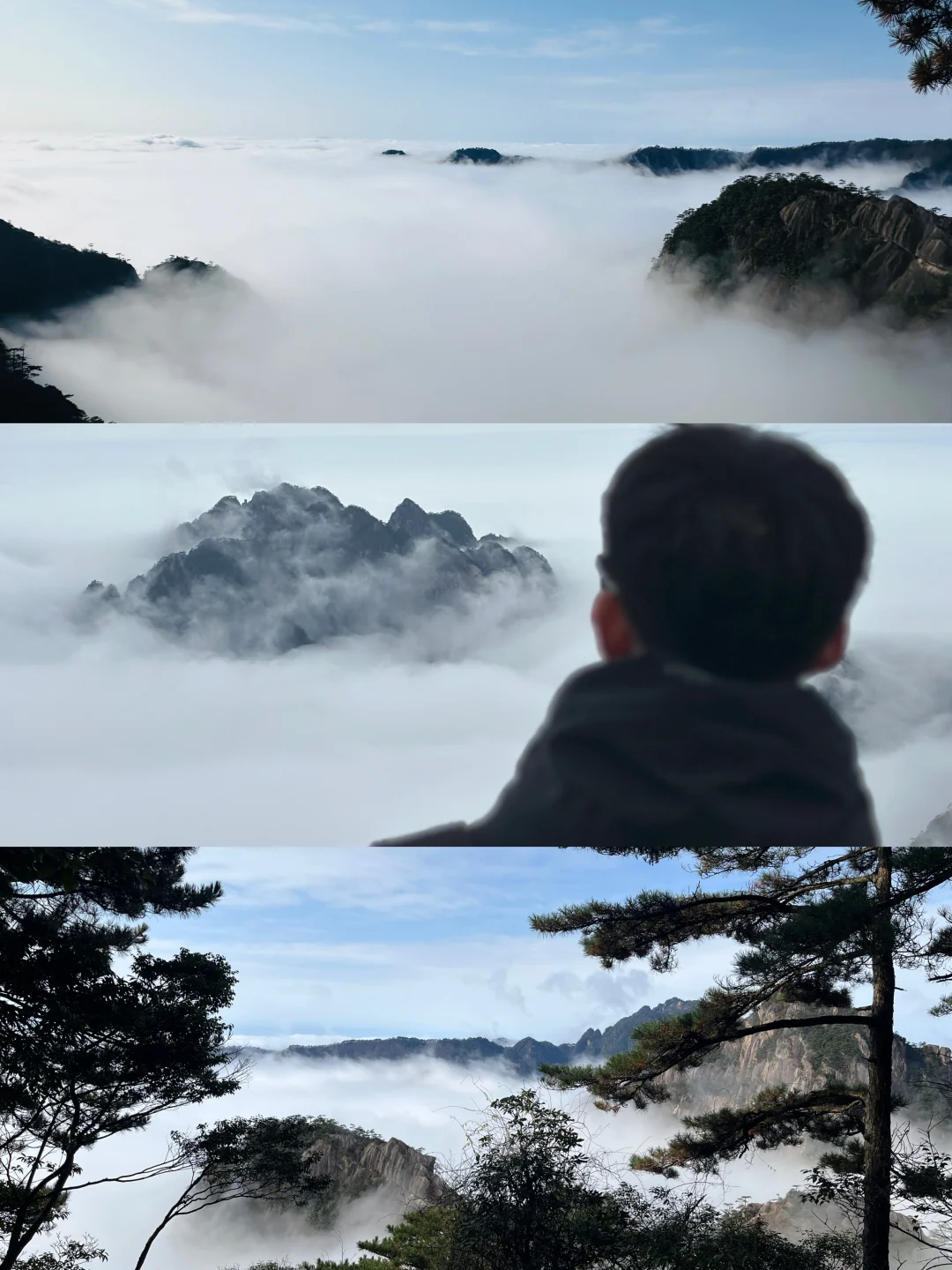 劝你别轻易爬黄山…不然满脑子都是它的云海