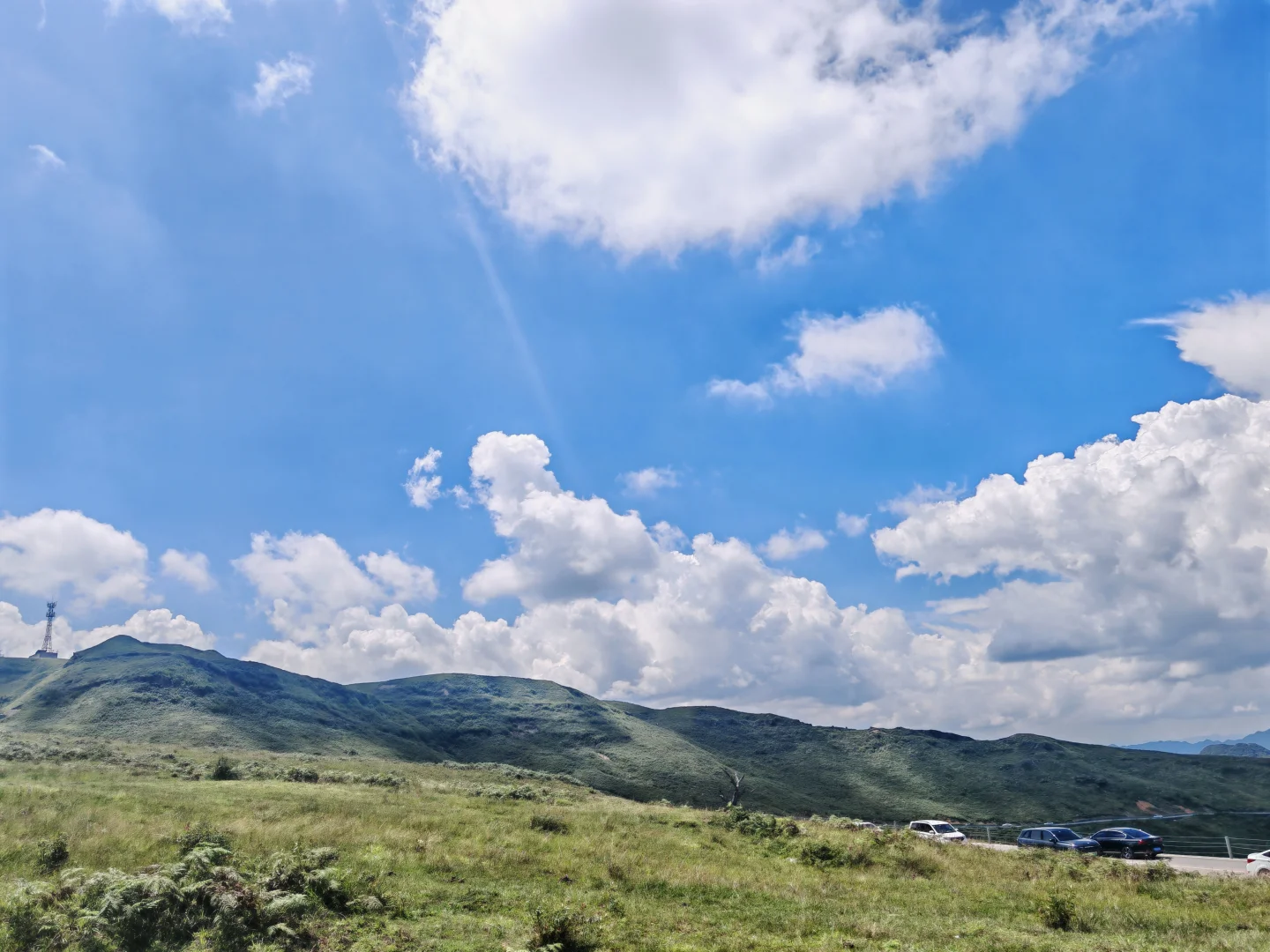 阿西里西大草原，堵车🚘堵哭啦（含攻略）