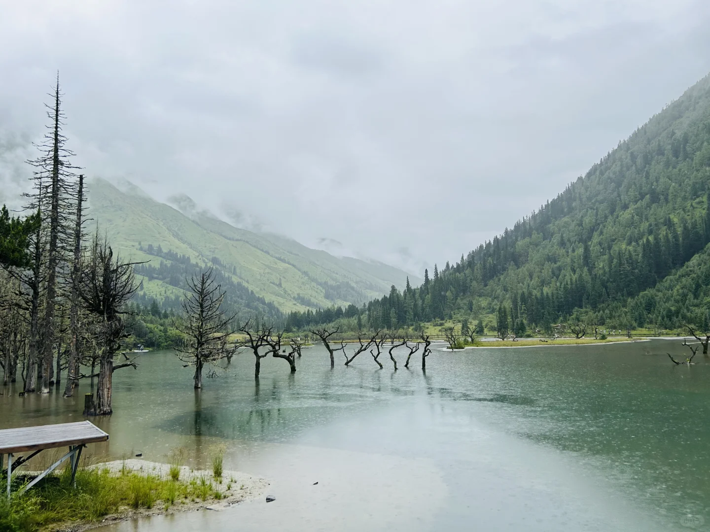 “九寨沟➕四姑娘山双桥沟”详细攻略送上