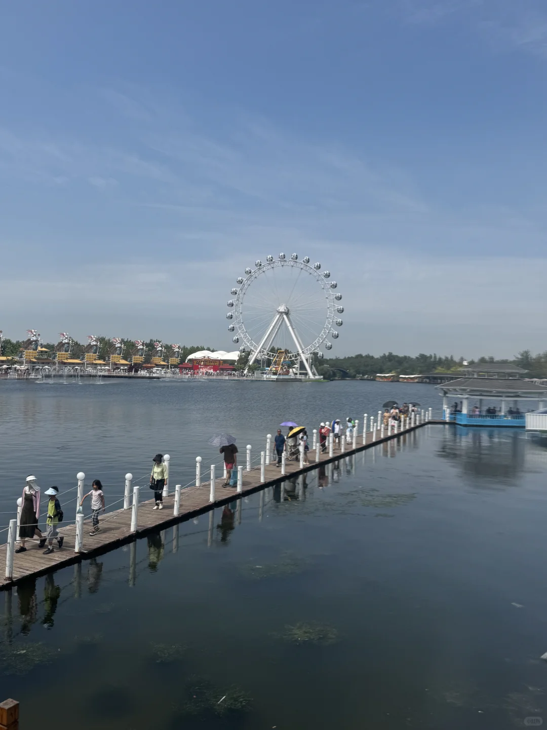 周六渔岛亲测！感觉有1亿人！攻略直接抄🏖️