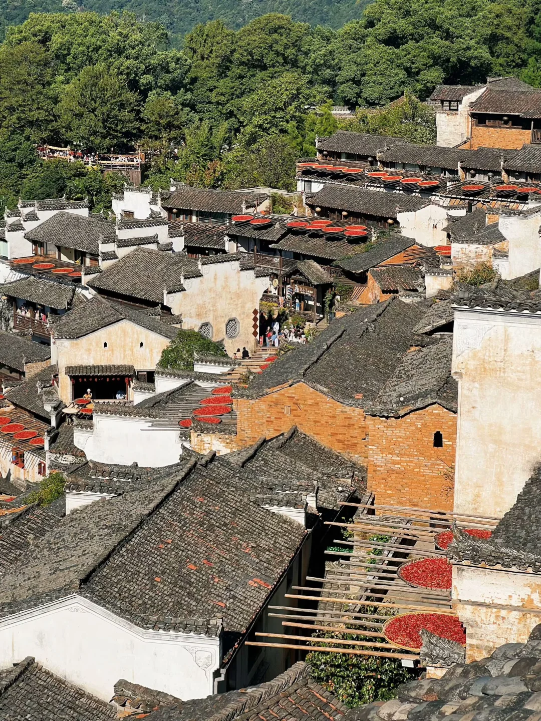婺源篁岭｜闯入油画里的秋天🍂
