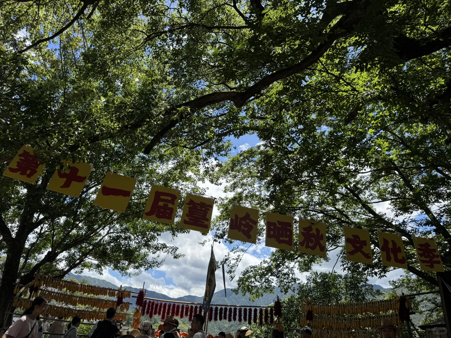 没晒到秋 却要被晒化了🔥