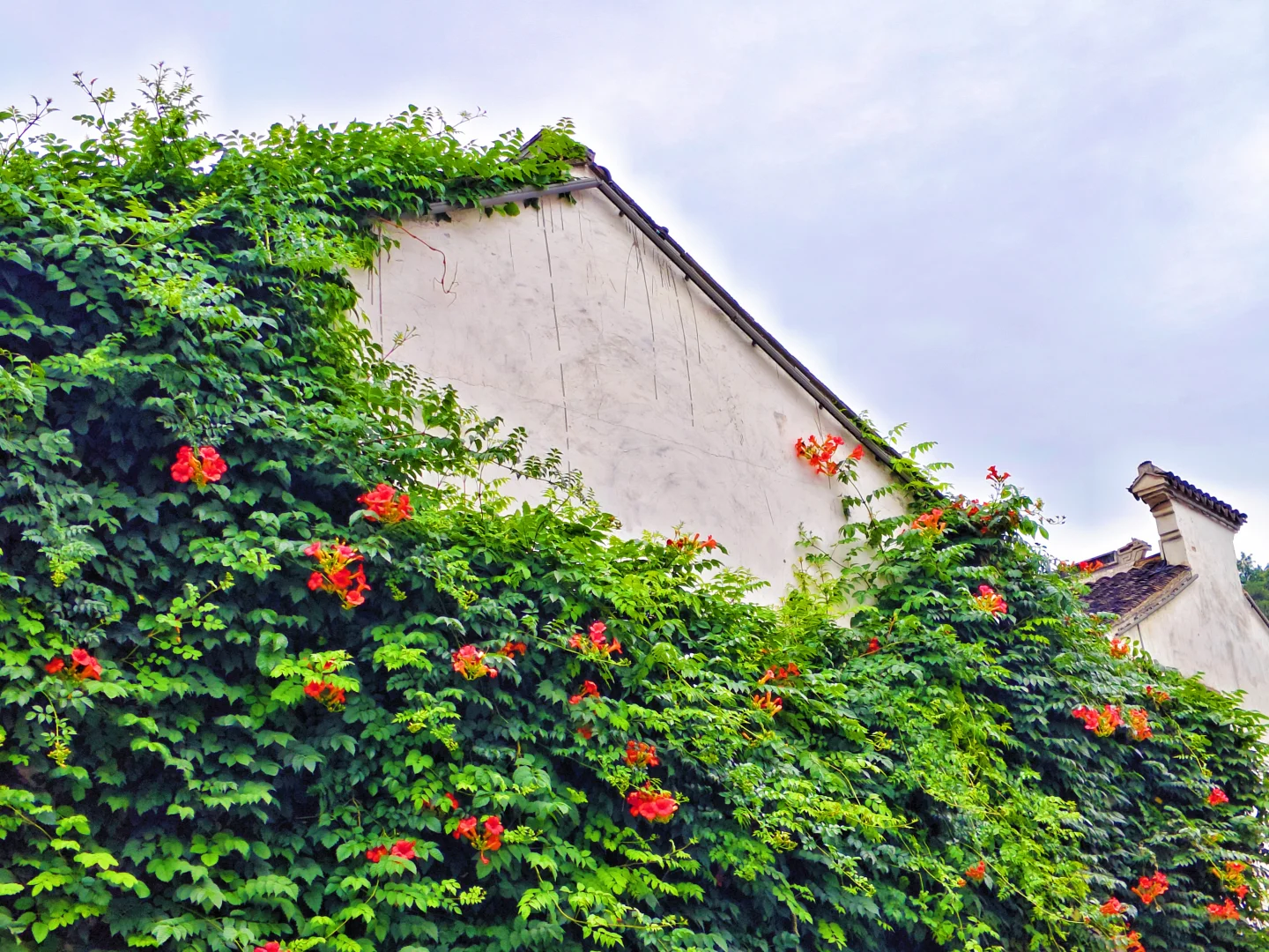 惠山古镇｜0门票游玩