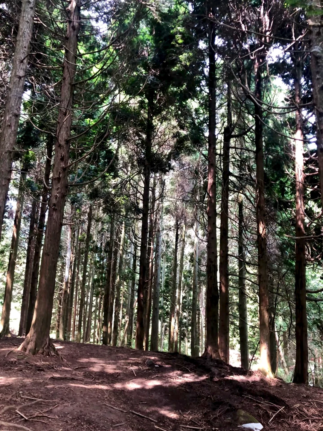 深山徒步48小时⛰️感受心灵的净土🌿