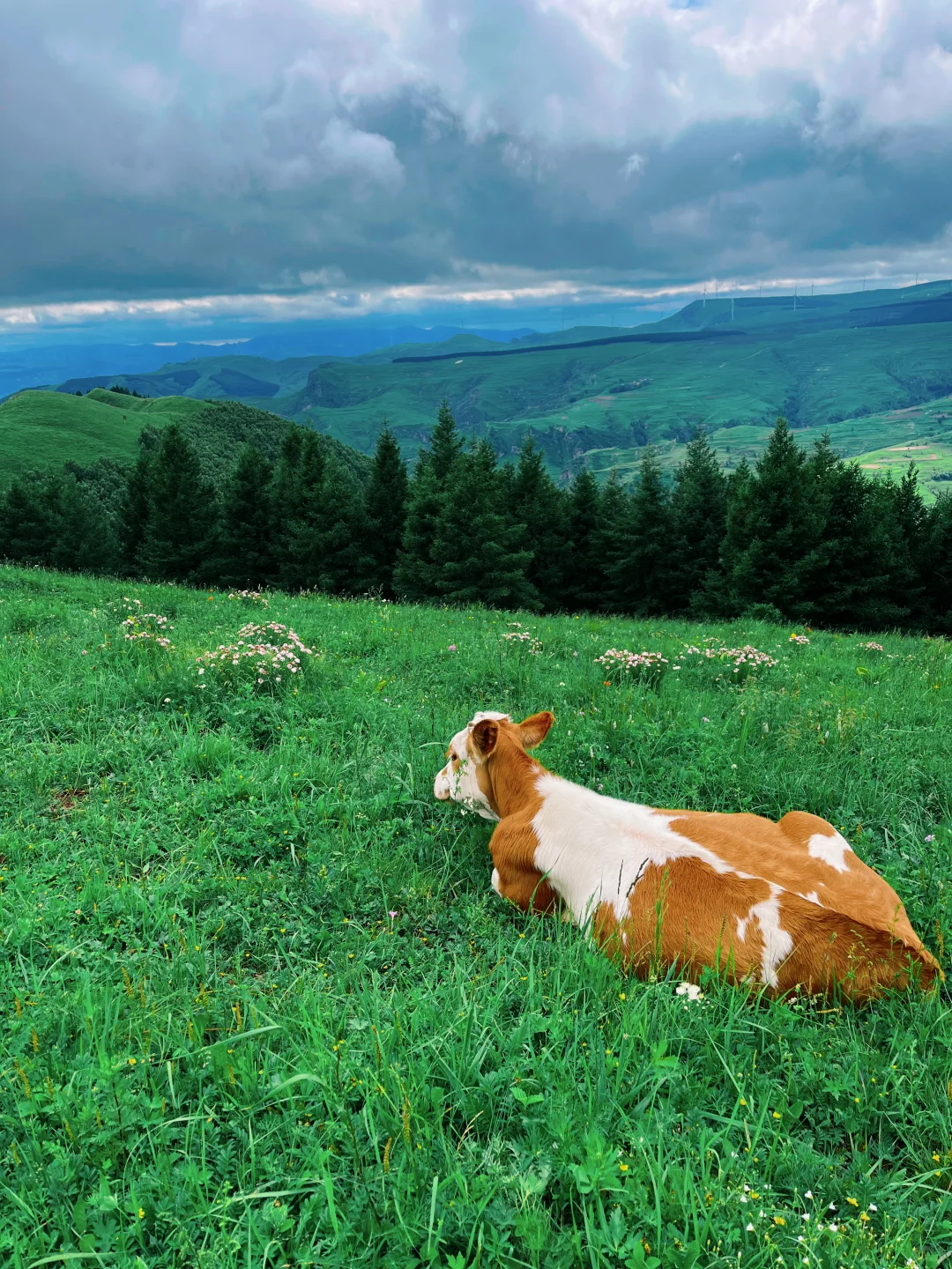 闯入仙境——张家口蔚县麻田岭徒步