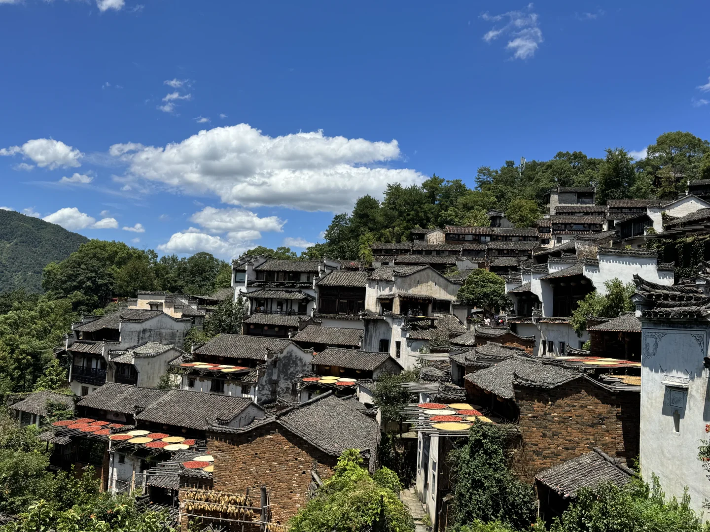 没晒到秋 却要被晒化了🔥