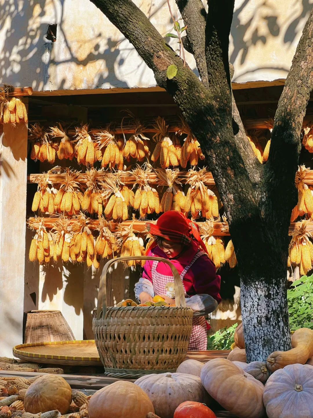 婺源篁岭｜闯入油画里的秋天🍂