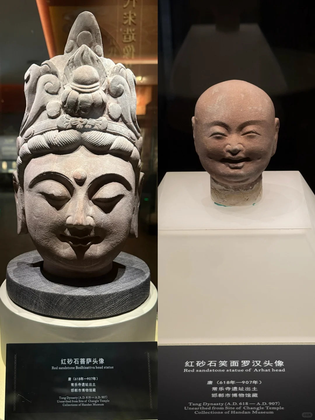 邯郸市博物馆1h速刷｜蛤蟆你瞅啥？