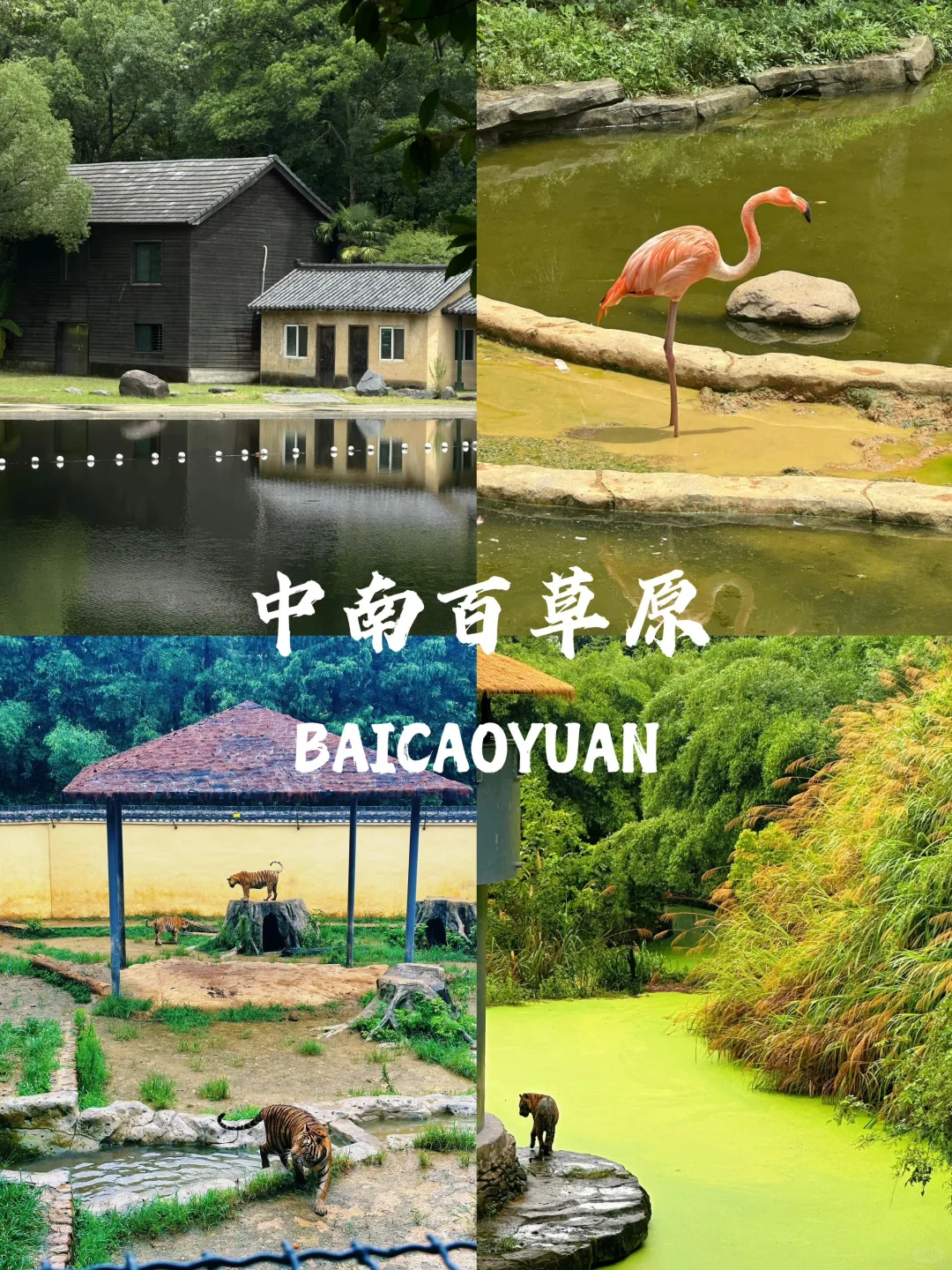 跟着浙牌旅游打卡