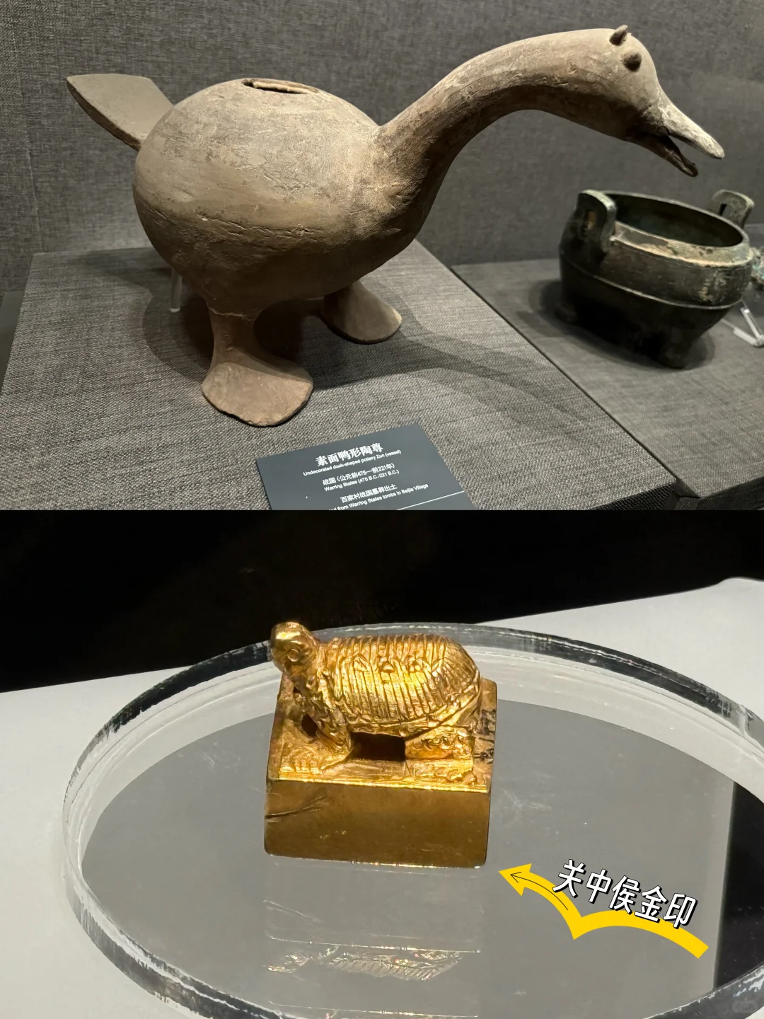 邯郸市博物馆1h速刷｜蛤蟆你瞅啥？