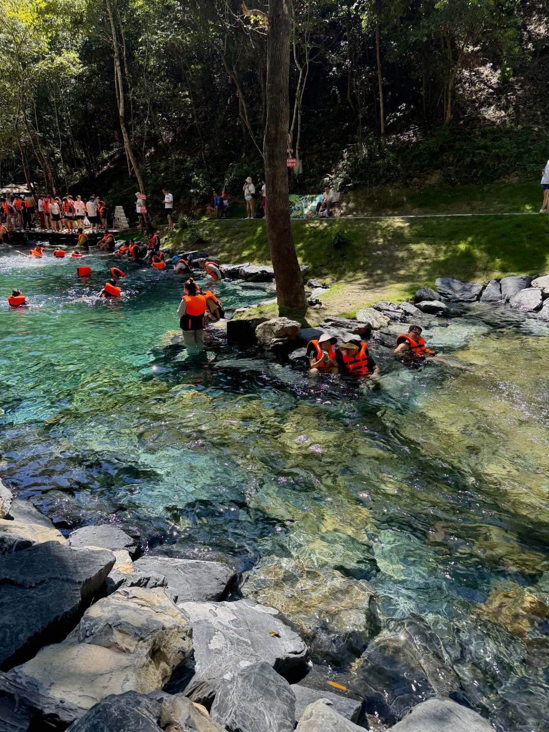 杭州1h直达🚗5万㎡的森林玩水秘境（附攻略