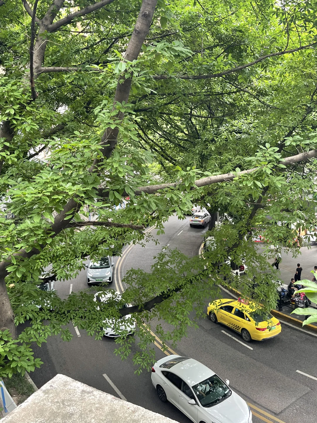 终于把重庆2⃣️日旅游攻略做好了太累人了