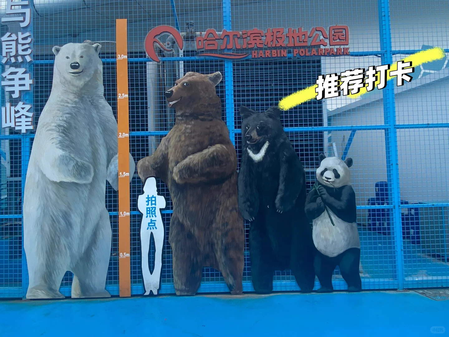 来哈尔滨极地公园玩啦