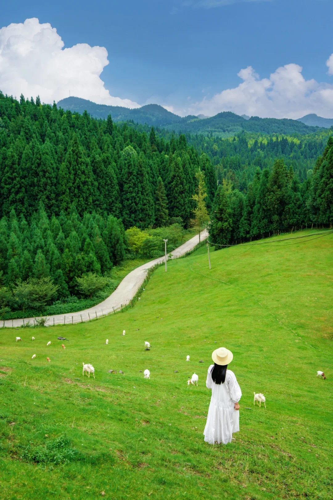 恩施已回，坚决不删！能帮一个是一个……