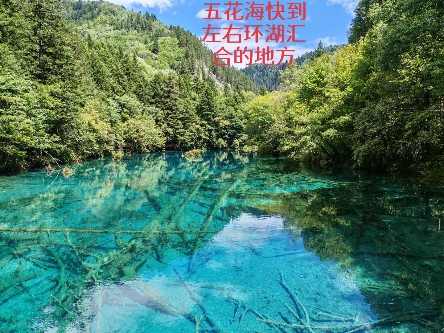 九寨沟不要随意左线换右线，踩雷了