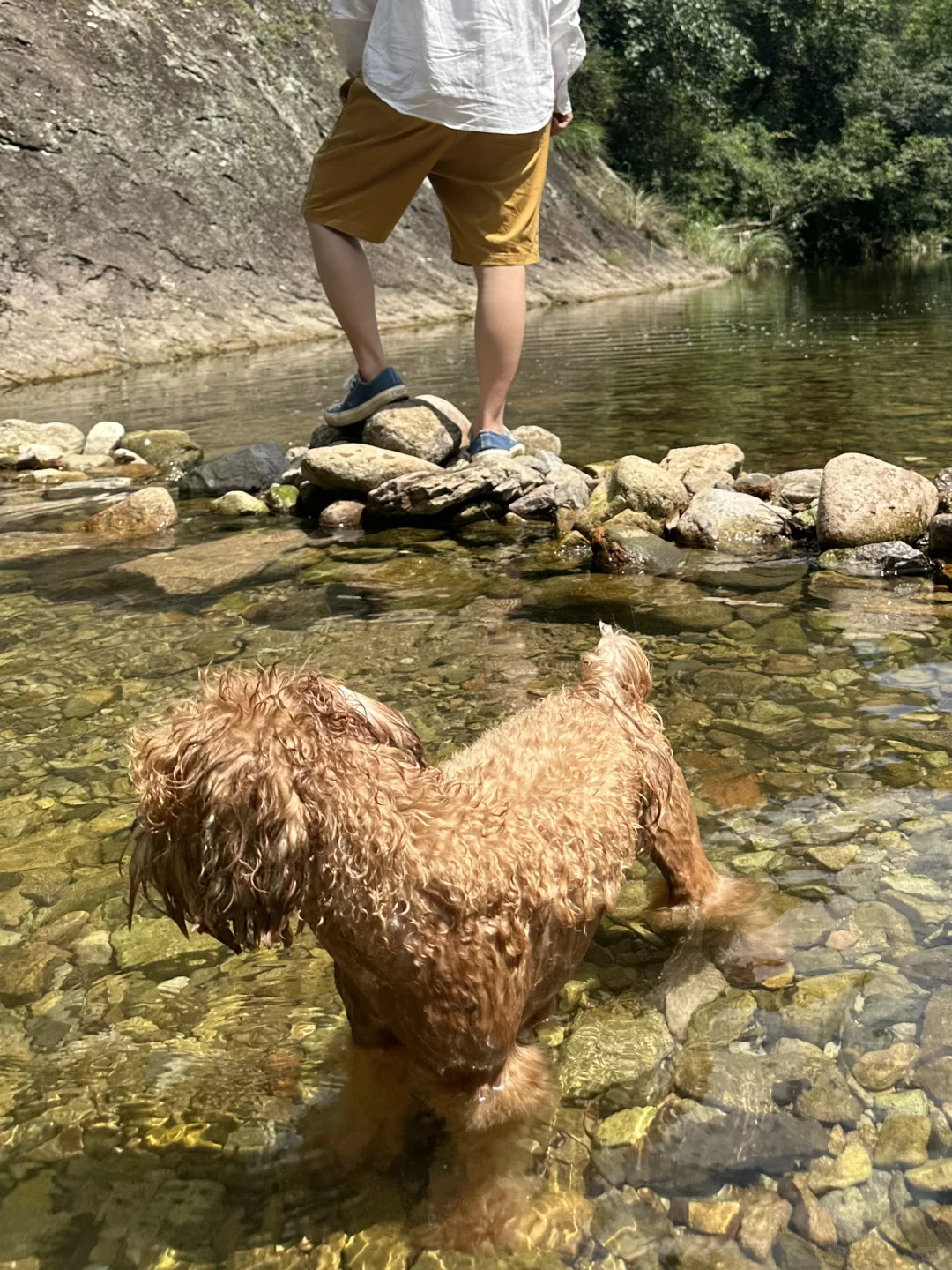 只能说是玩得有点狼狈……