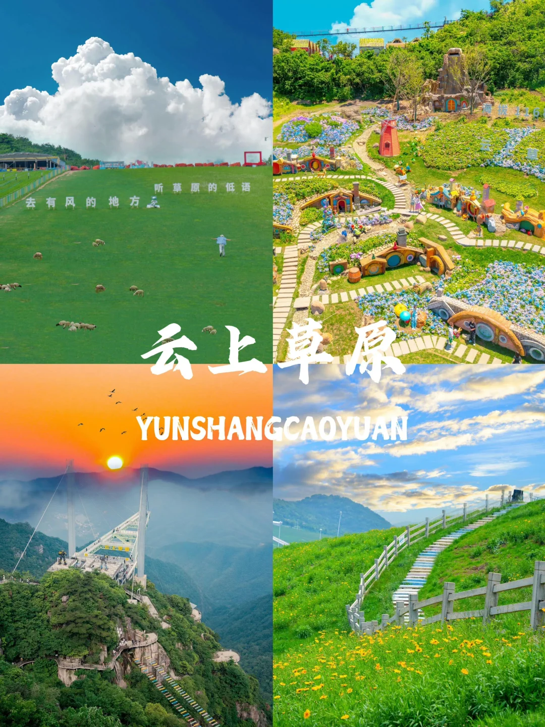 跟着浙牌旅游打卡