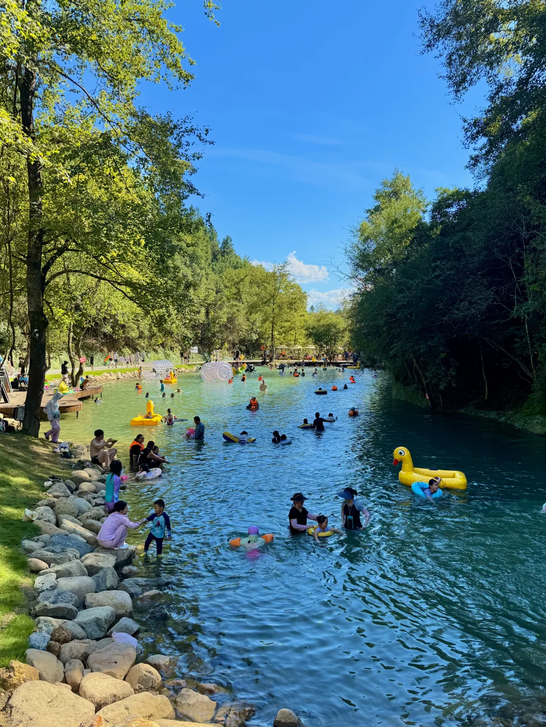 杭州1h直达🚗5万㎡的森林玩水秘境（附攻略