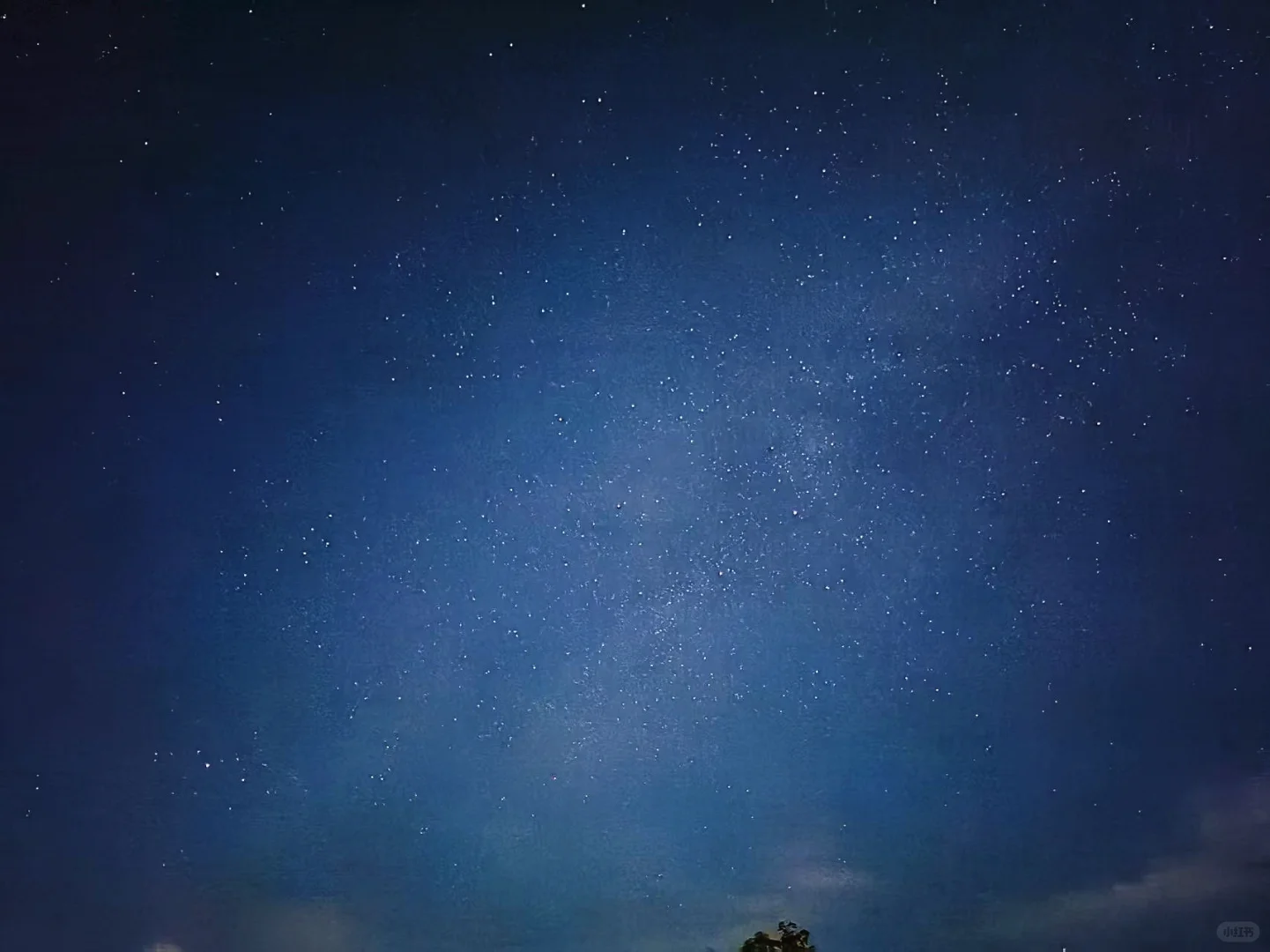 真的在广东！详细地址请看👀