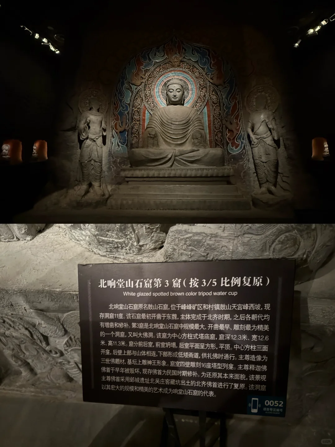 邯郸市博物馆1h速刷｜蛤蟆你瞅啥？