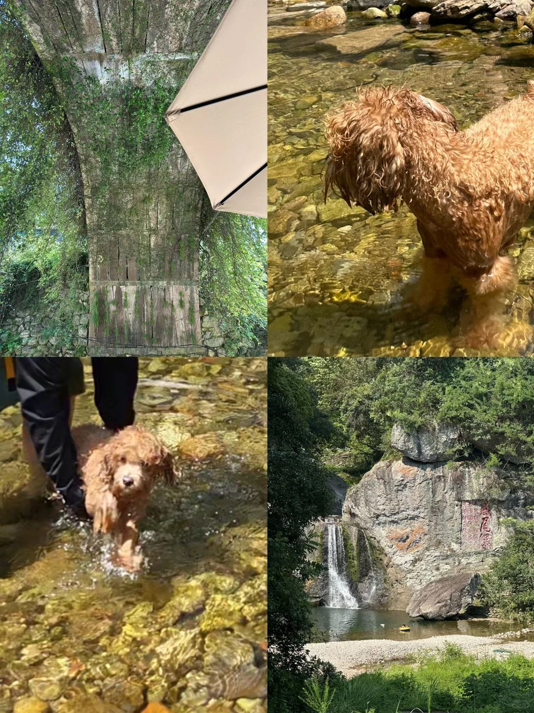 只能说是玩得有点狼狈……