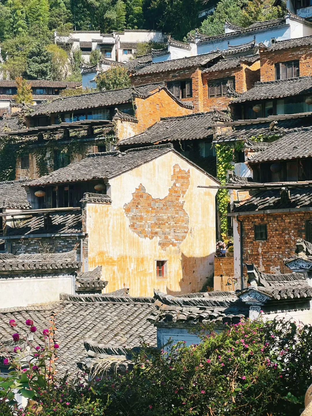 婺源篁岭｜闯入油画里的秋天🍂
