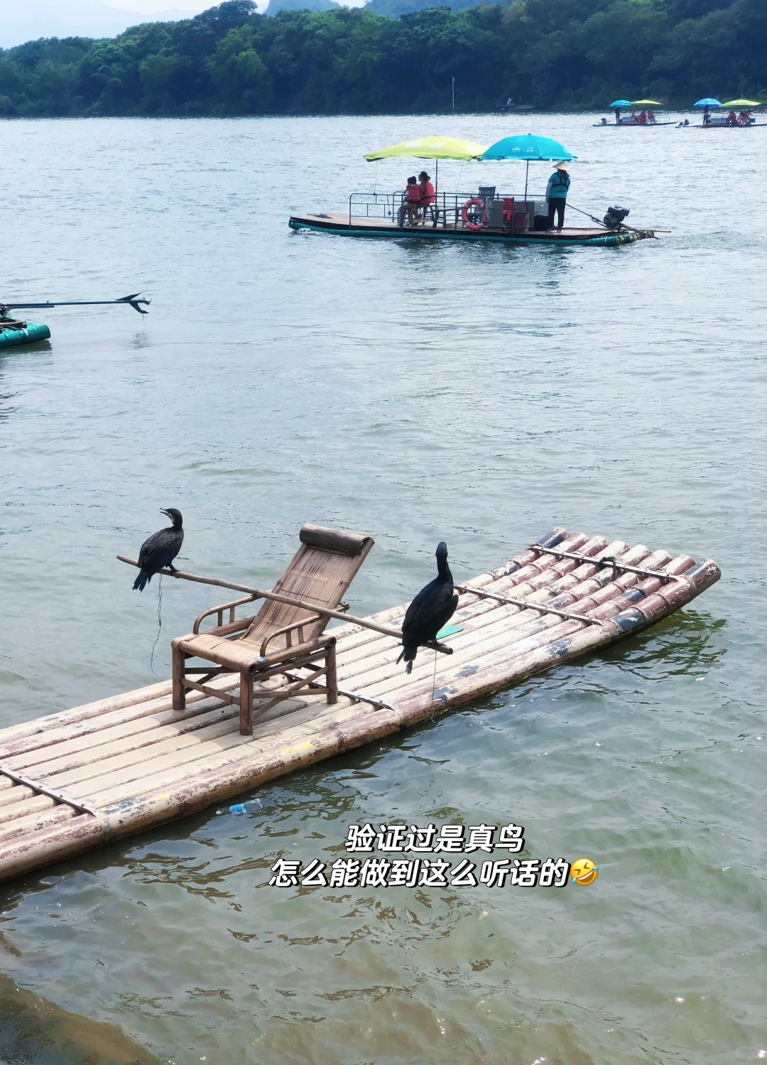 桂林阳朔旅游3天2晚超详细攻略来啦
