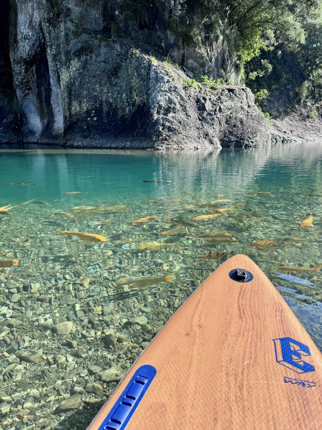仙居玩水新发现｜小众撩朱线超绝🔥