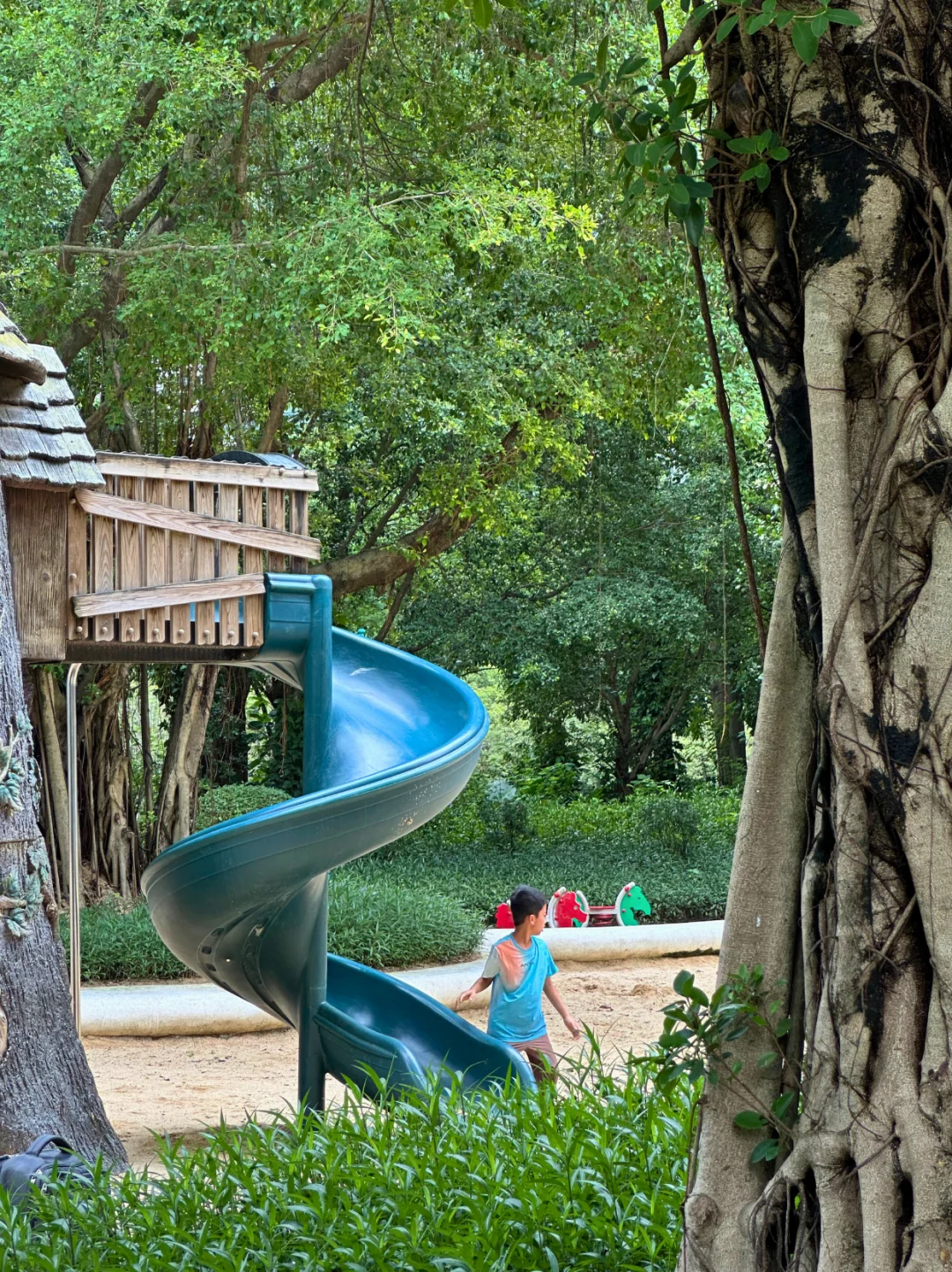 藏在CBD的遛娃宝地｜撸猫天堂+野餐圣地！