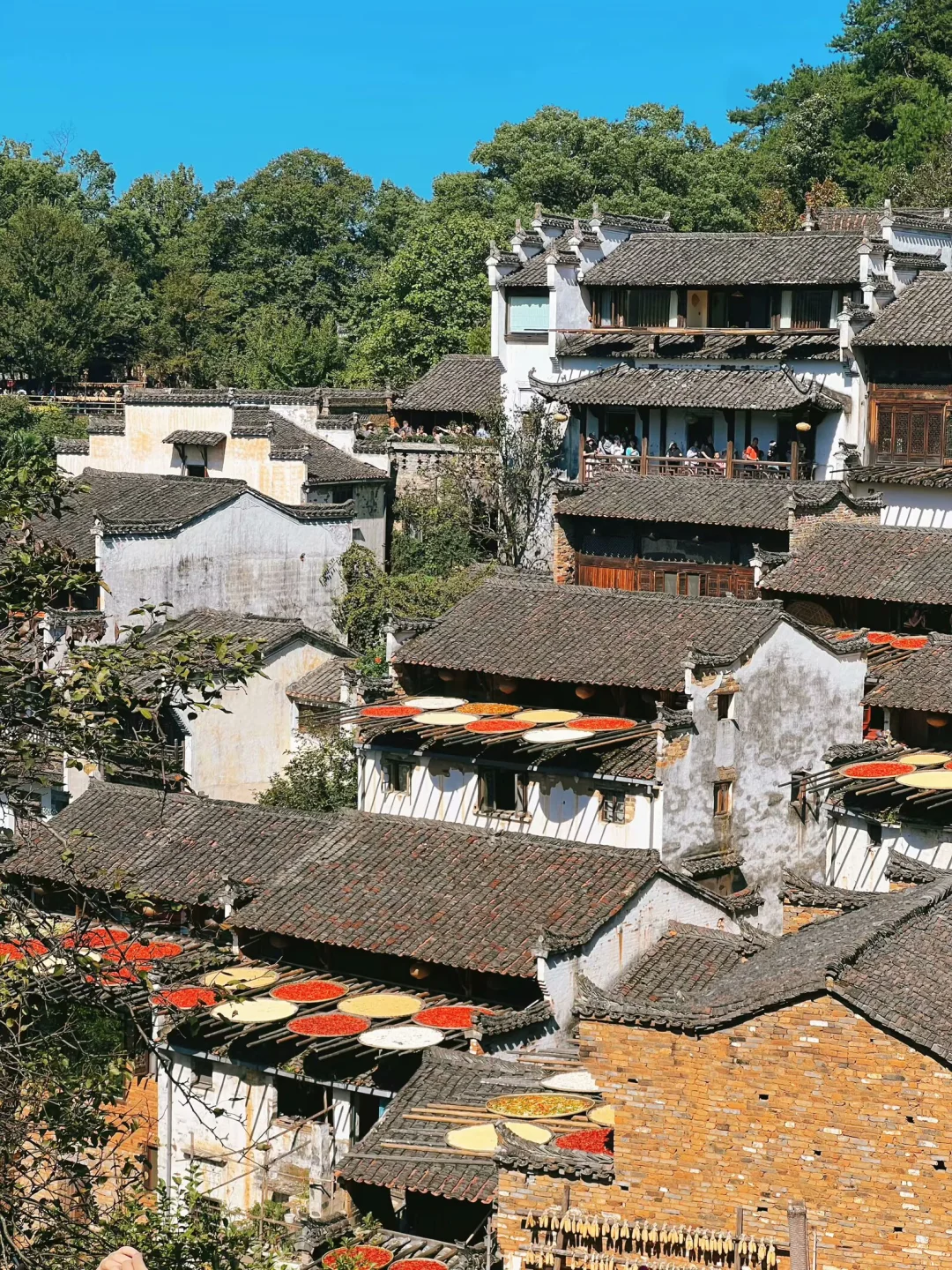 婺源篁岭｜闯入油画里的秋天🍂