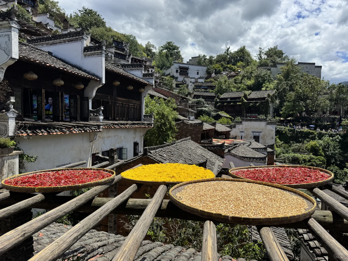 没晒到秋 却要被晒化了🔥