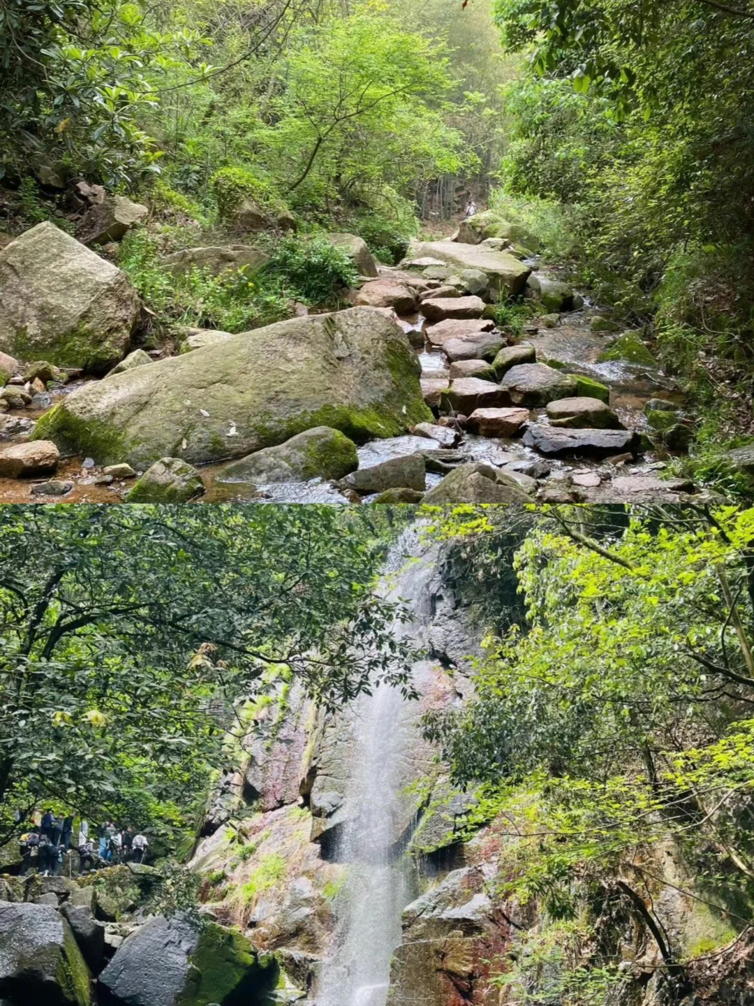 跟着浙牌旅游打卡