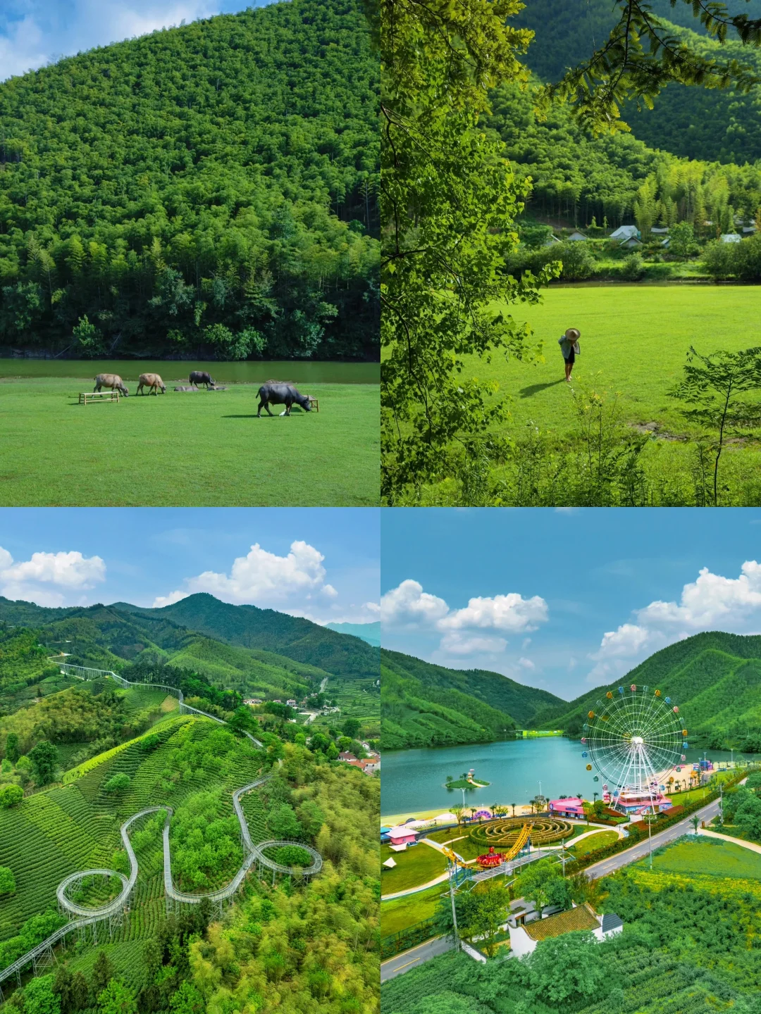 💖江浙沪周边游爆款攻略｜8大神仙目的地