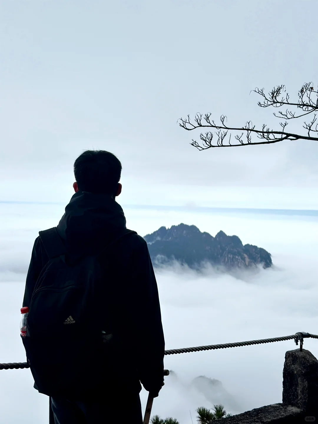 劝你别轻易爬黄山…不然满脑子都是它的云海