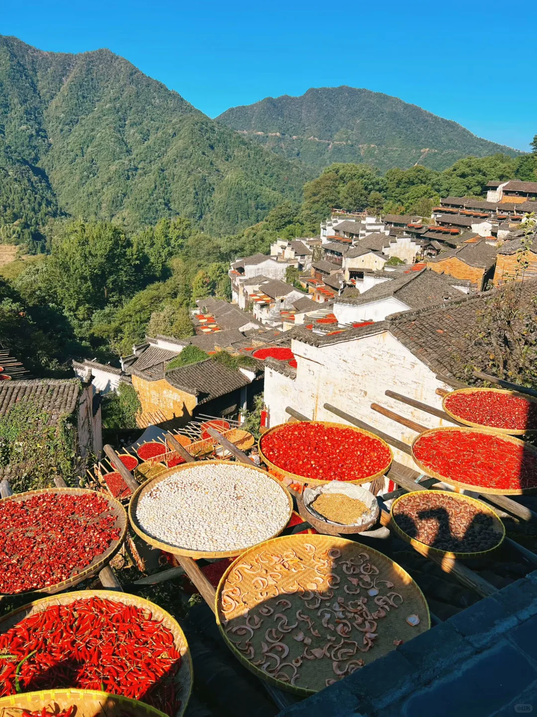 婺源篁岭｜闯入油画里的秋天🍂