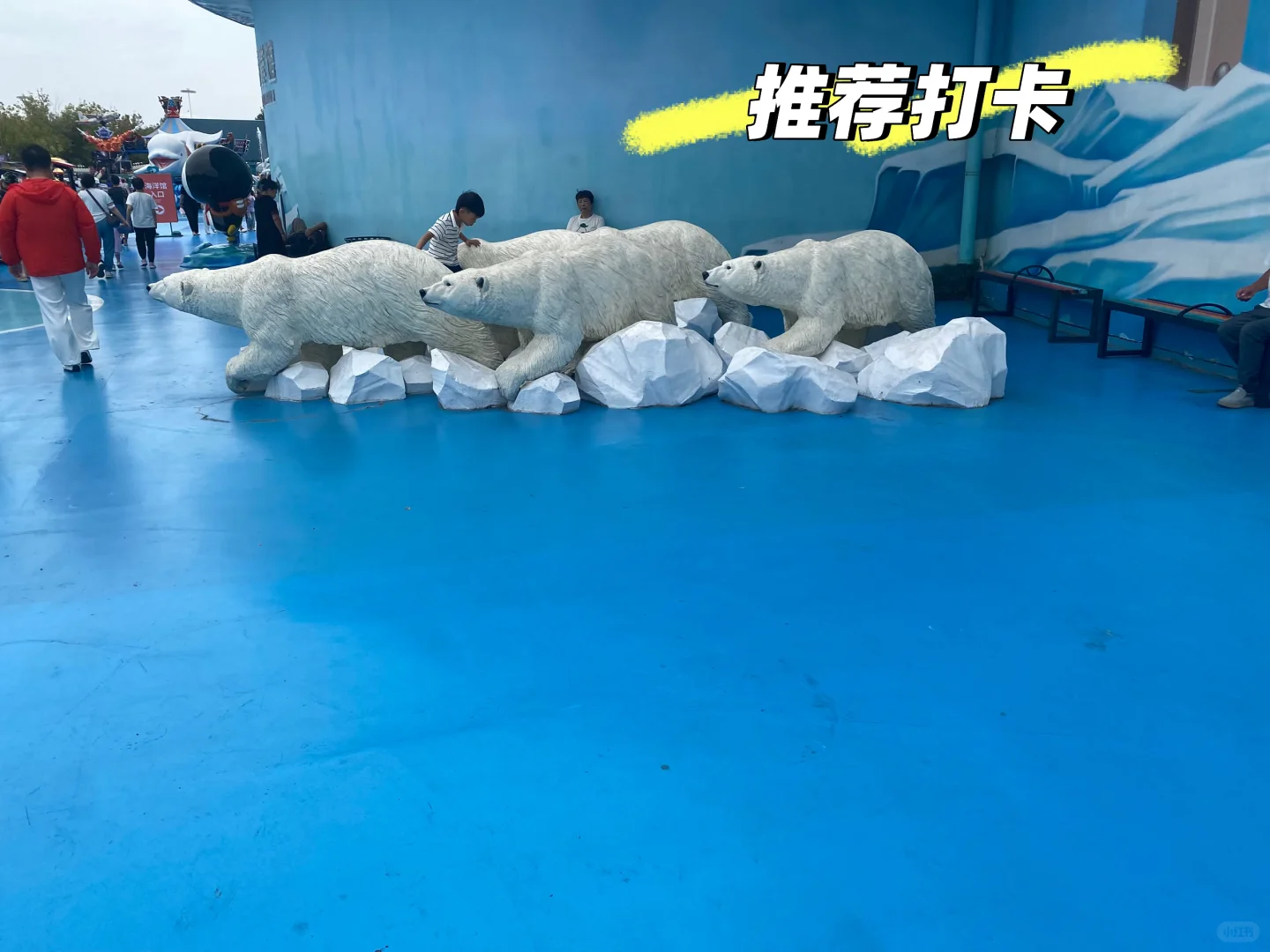 来哈尔滨极地公园玩啦