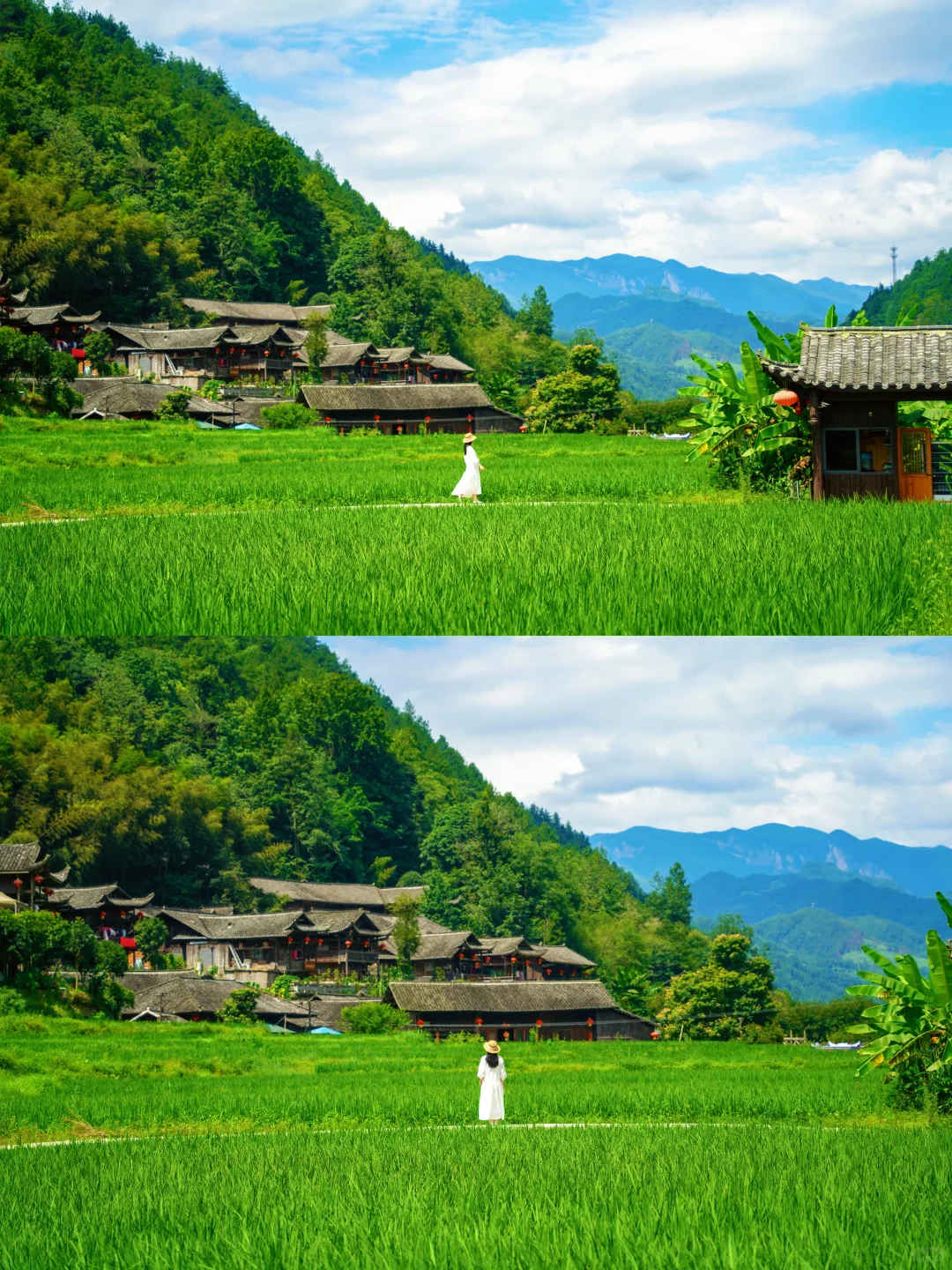 恩施已回，坚决不删！能帮一个是一个……