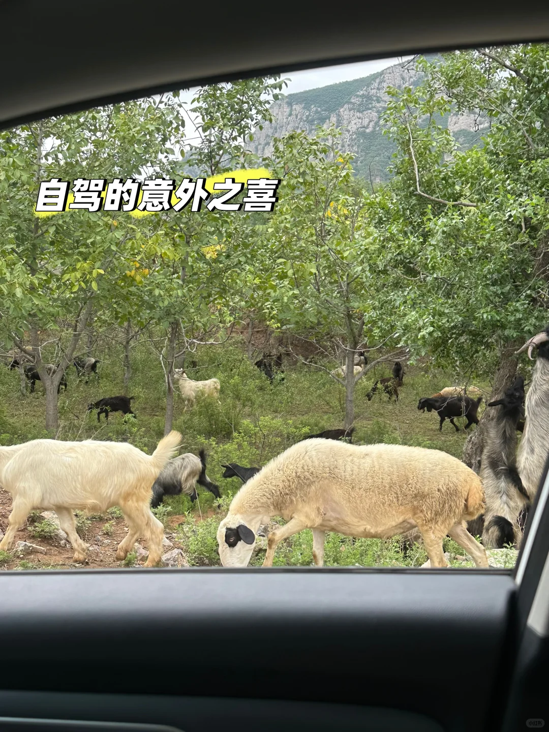 在邯郸两天的一些纯个人体验分享