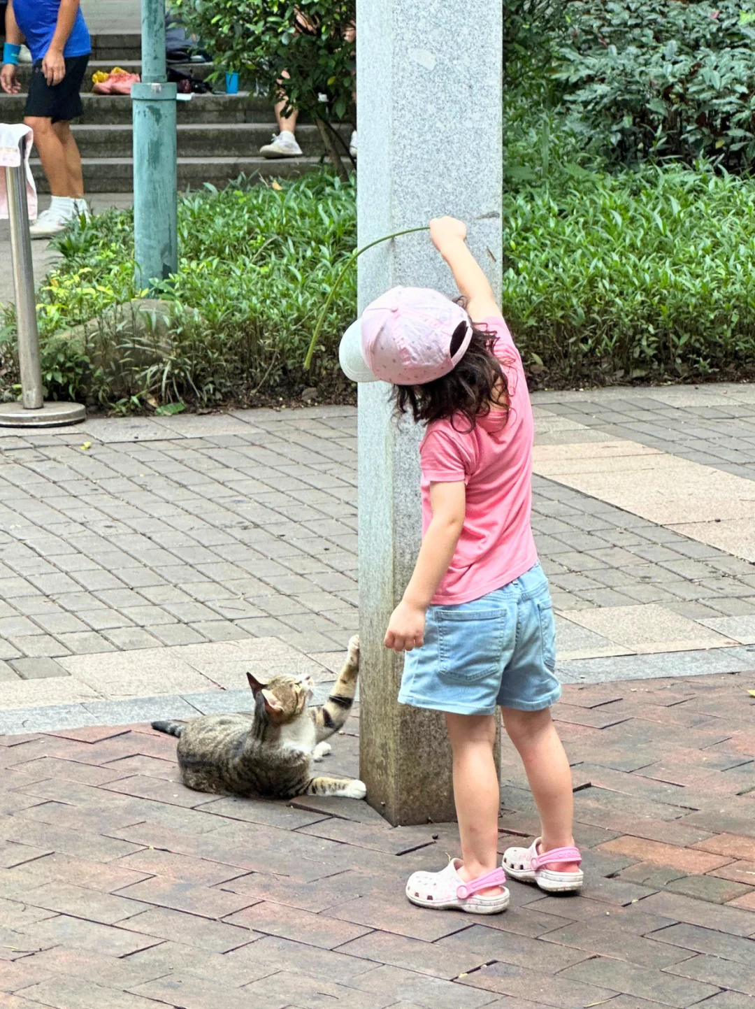 藏在CBD的遛娃宝地｜撸猫天堂+野餐圣地！