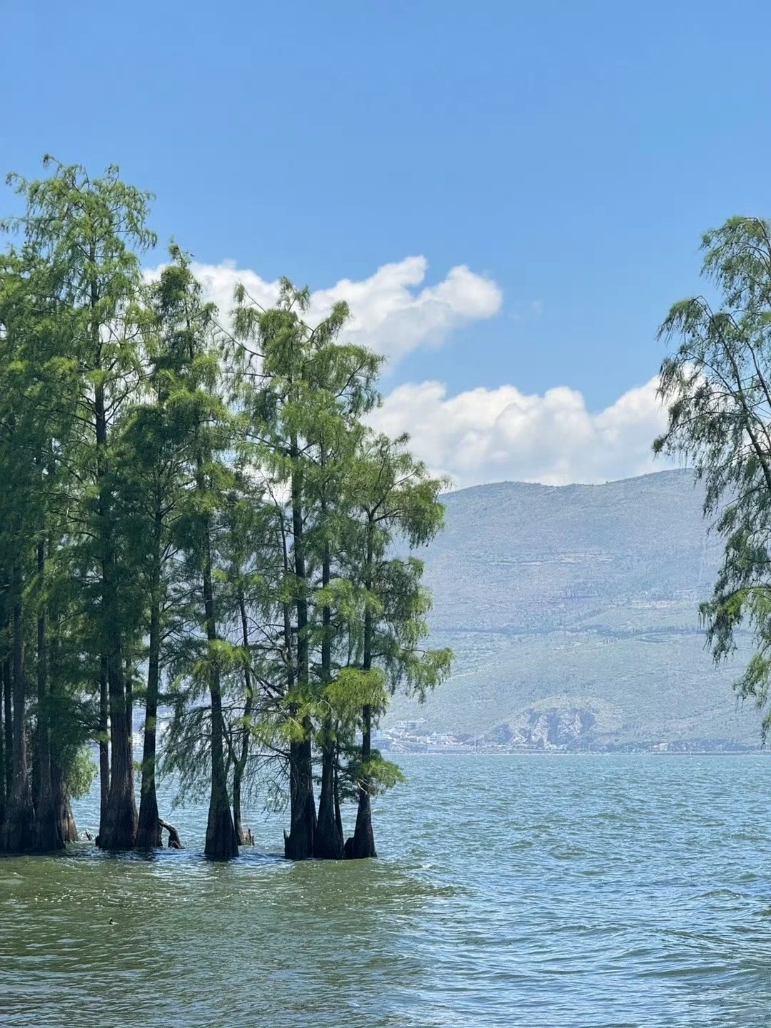对自己熬夜做的大理攻略满意得睡不着…😭