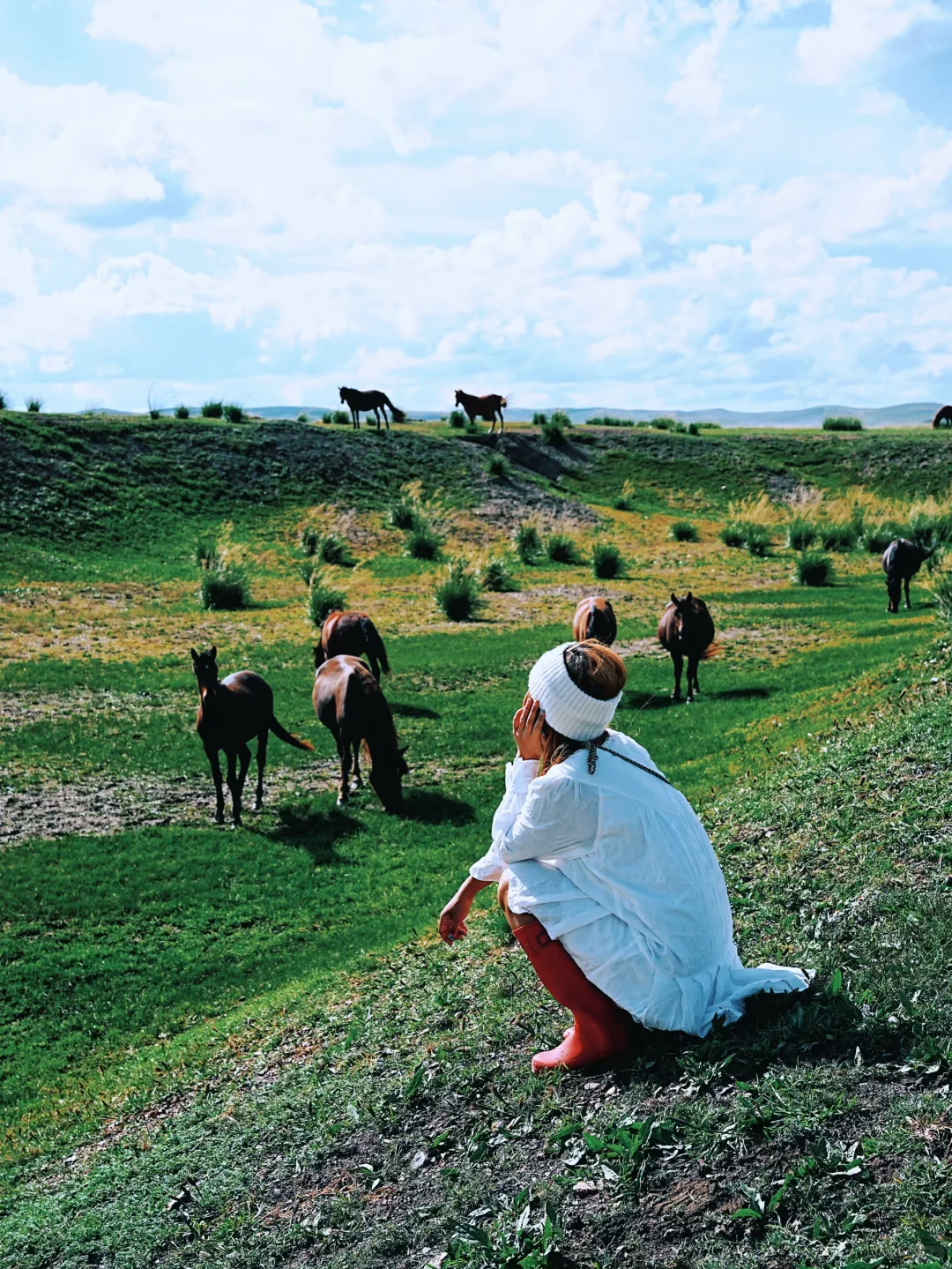 谁还没来❗️北京周边被狠狠低估的小众草原❗️