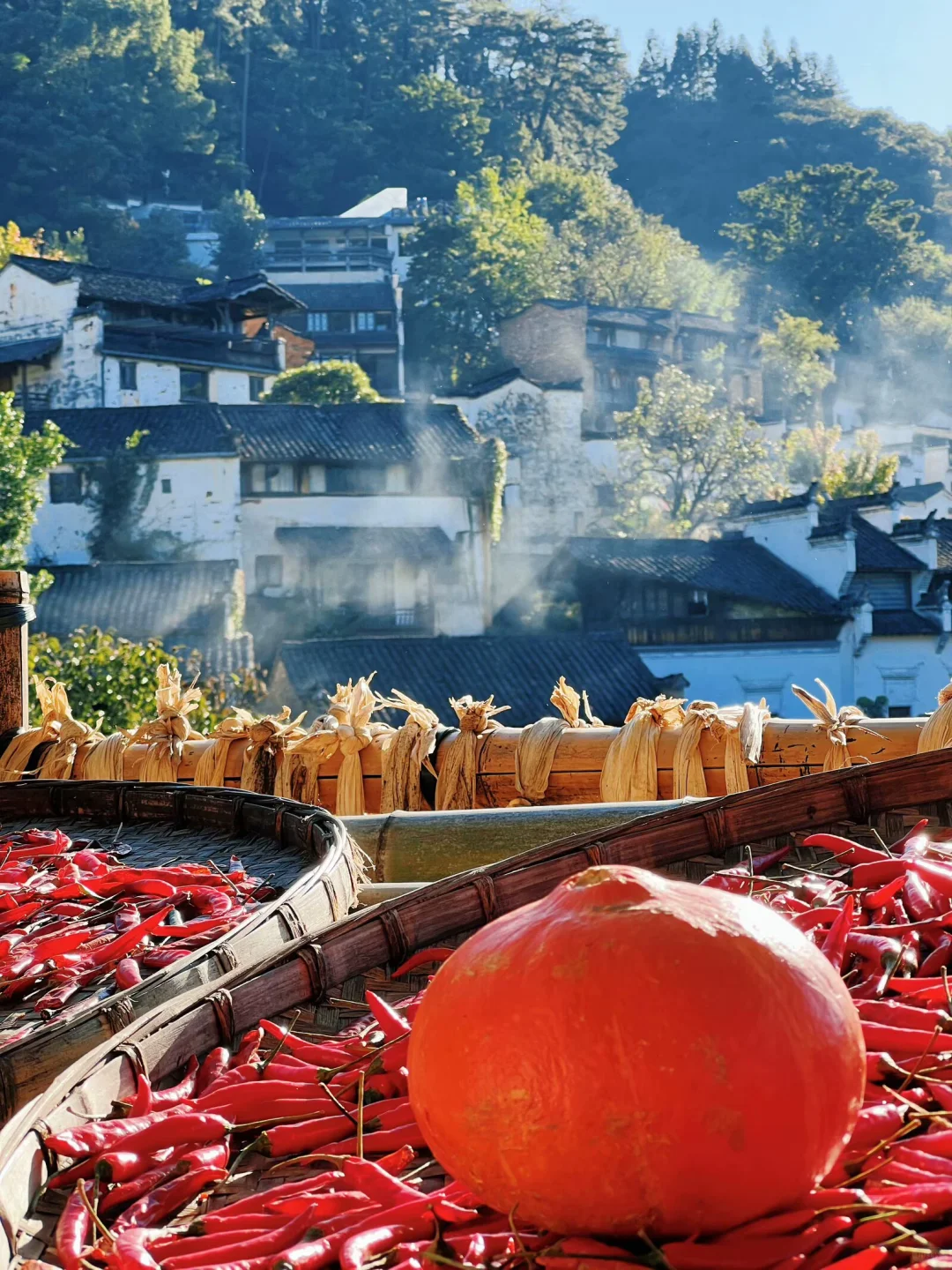 婺源篁岭｜闯入油画里的秋天🍂