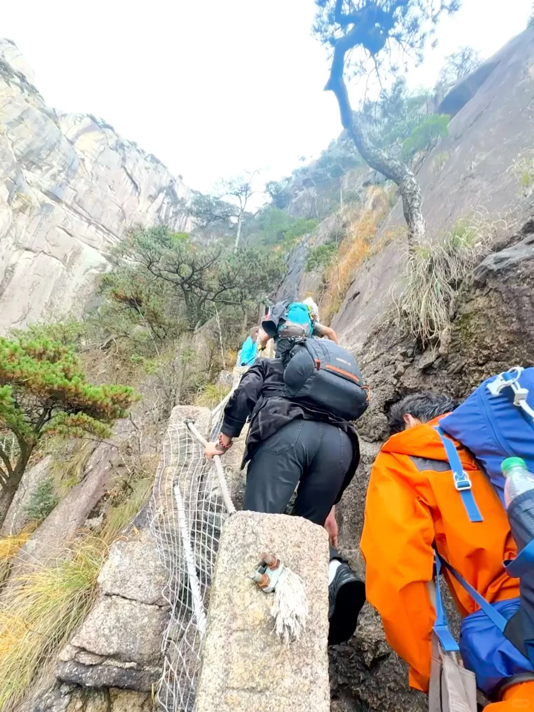 劝你别轻易爬黄山…不然满脑子都是它的云海