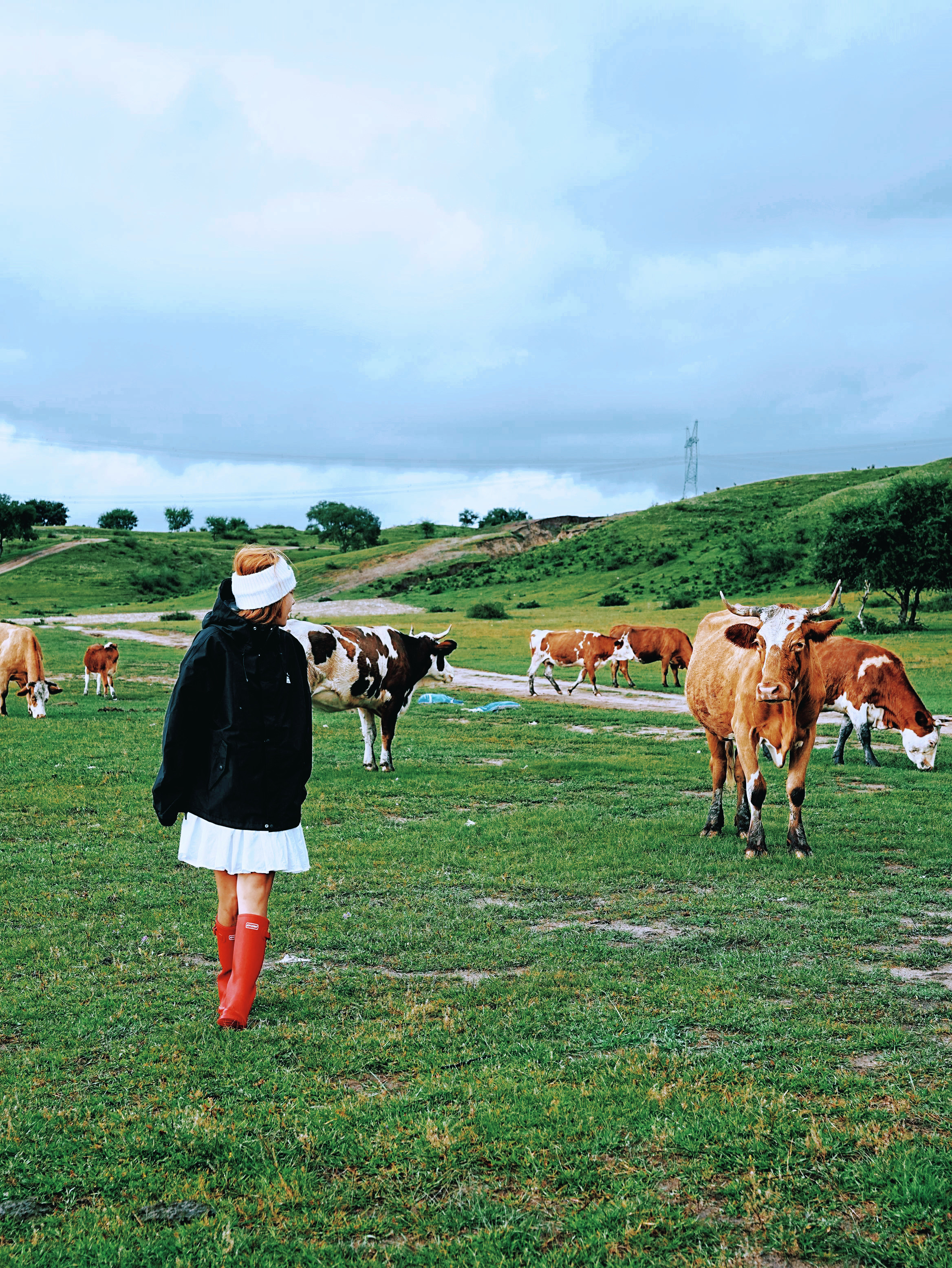 谁还没来❗️北京周边被狠狠低估的小众草原❗️