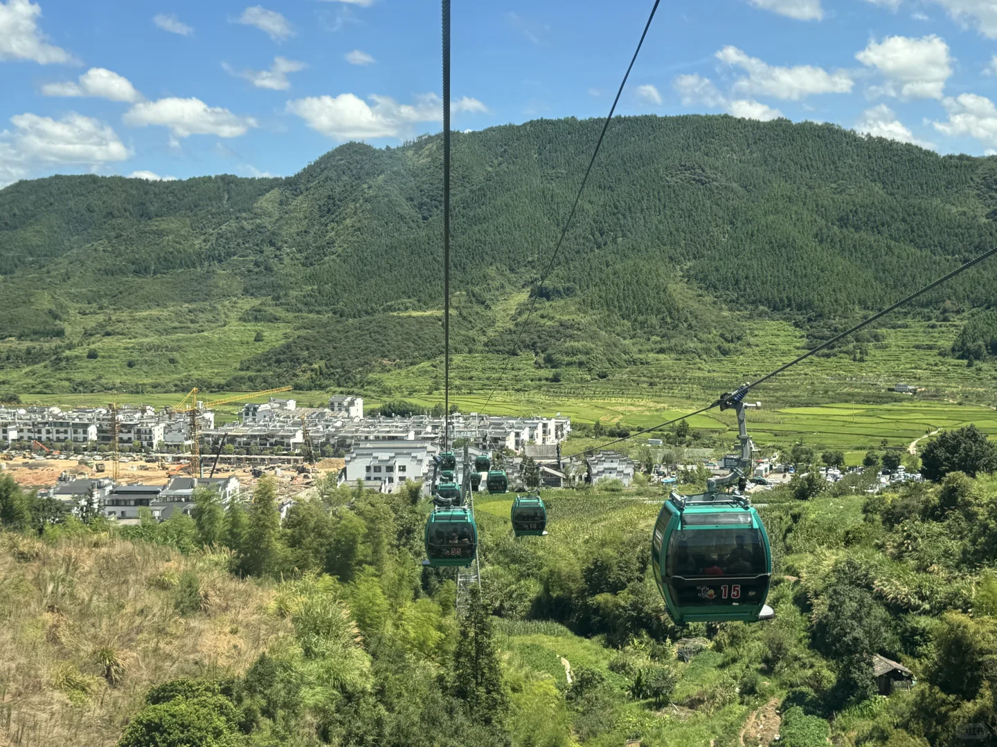 没晒到秋 却要被晒化了🔥