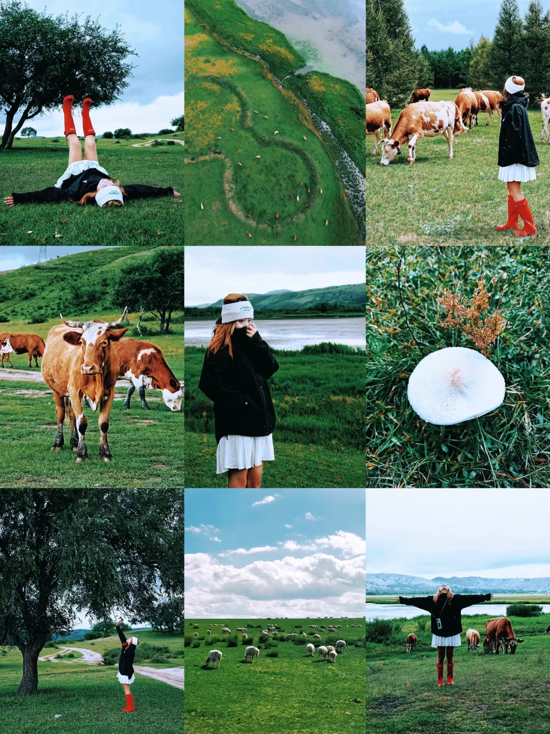 谁还没来❗️北京周边被狠狠低估的小众草原❗️