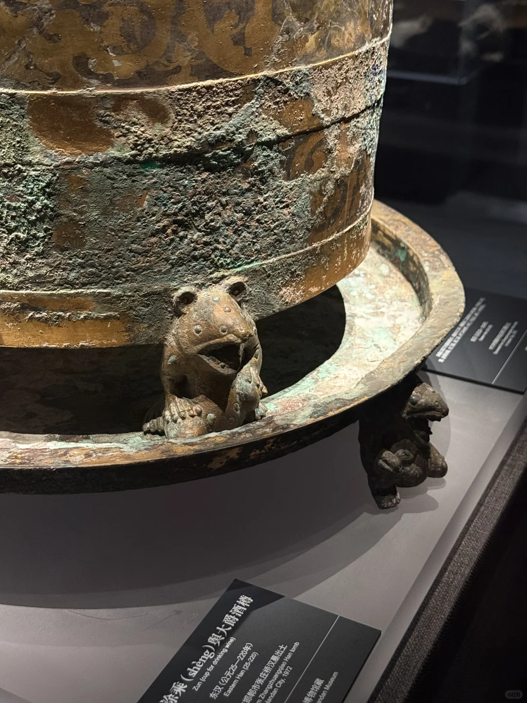 邯郸市博物馆1h速刷｜蛤蟆你瞅啥？