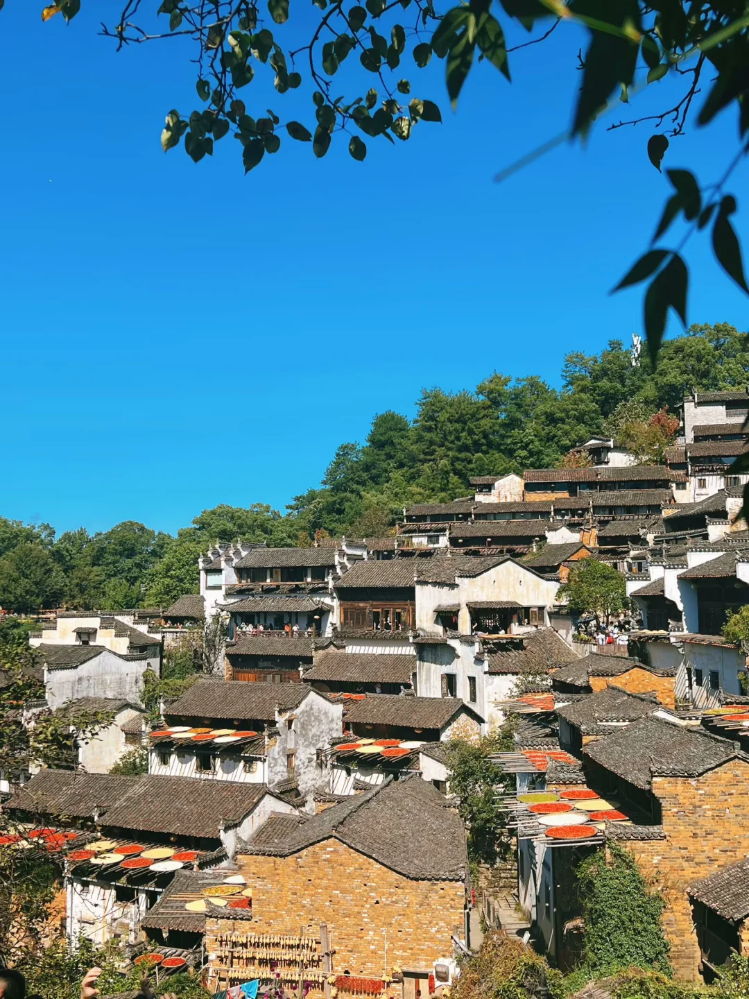 婺源篁岭｜闯入油画里的秋天🍂