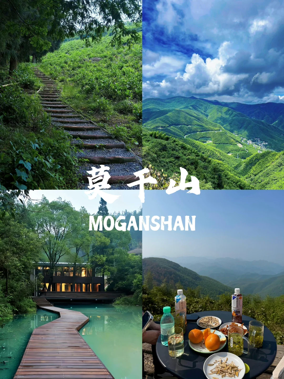 跟着浙牌旅游打卡